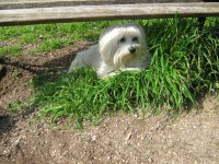 /album/associane-amici-miei/piumi-1-jpg/